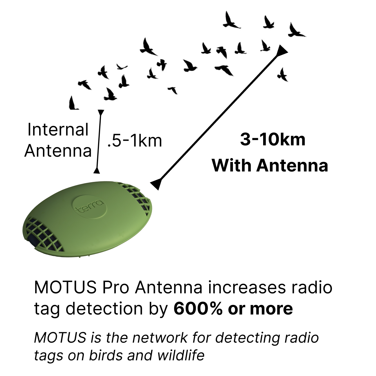 Professional MOTUS Antenna