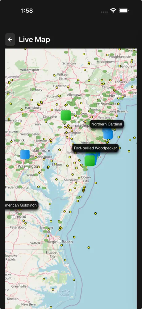 Terra Listens iOS - Live Map view